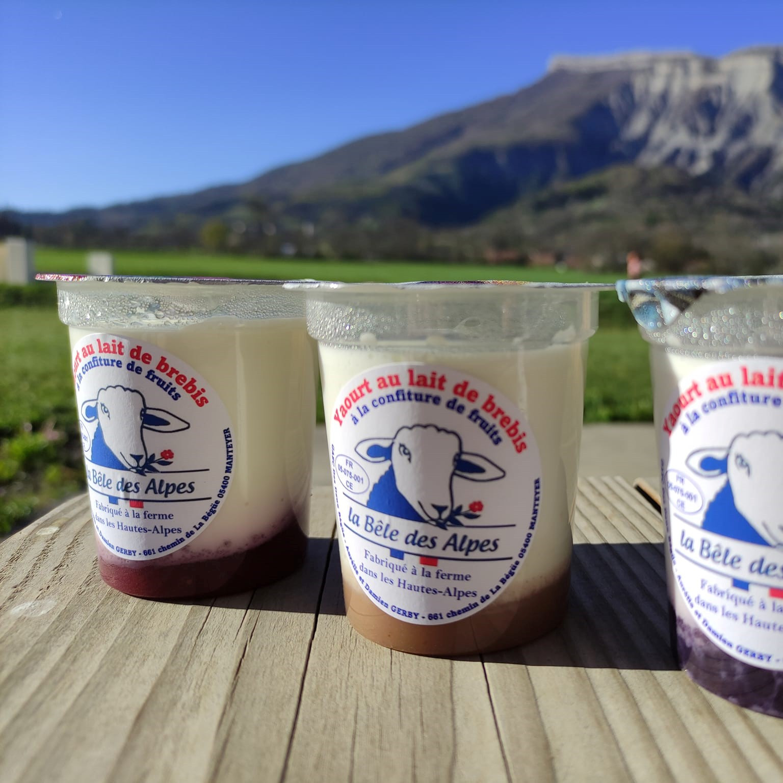 Photo de l'entreprise : La Bêle des Alpes