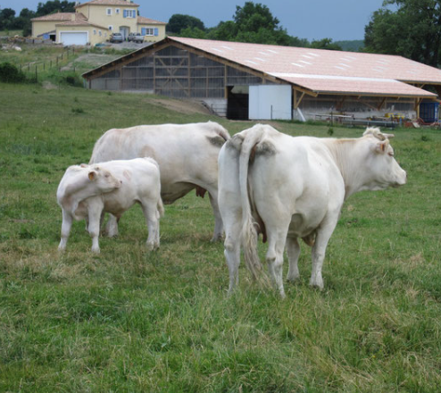 Photo de l'entreprise : EURL de Saint Martin