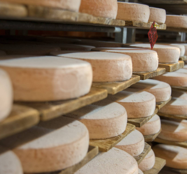 Photo de l'entreprise : Fromagerie de Château-Queyras - SICA Les Alpages de Fontantie