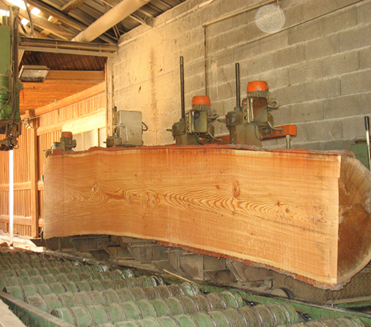 Photo de l'entreprise : Scierie Queyrassine du Bois